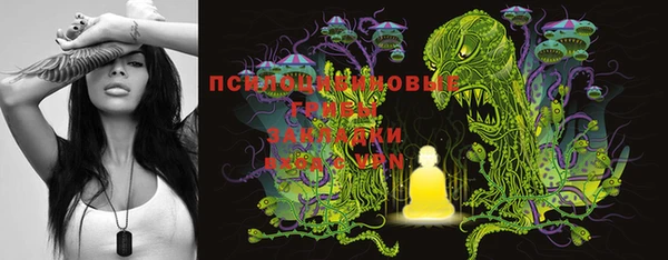 меф Алексин