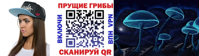 Псилоцибиновые грибы MAGIC MUSHROOMS  сколько стоит  Муравленко 